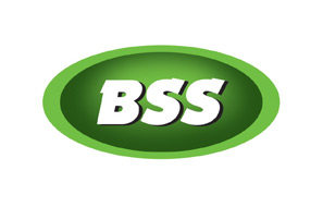BSS